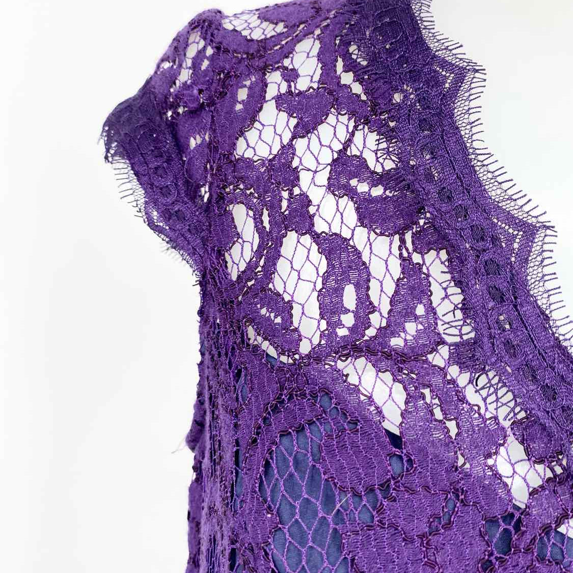 Adrianna Papell Women's Purple Fit & Flare Lace Size 6 Dress