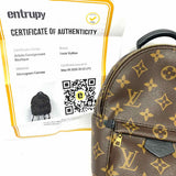LOUIS VUITTON 2018 Mini Palm Springs Brown Monogram BackPack