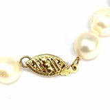 Gold Stone Jewelry 14K Ivory 17.5" Pearl Stud Earring & Necklace Set