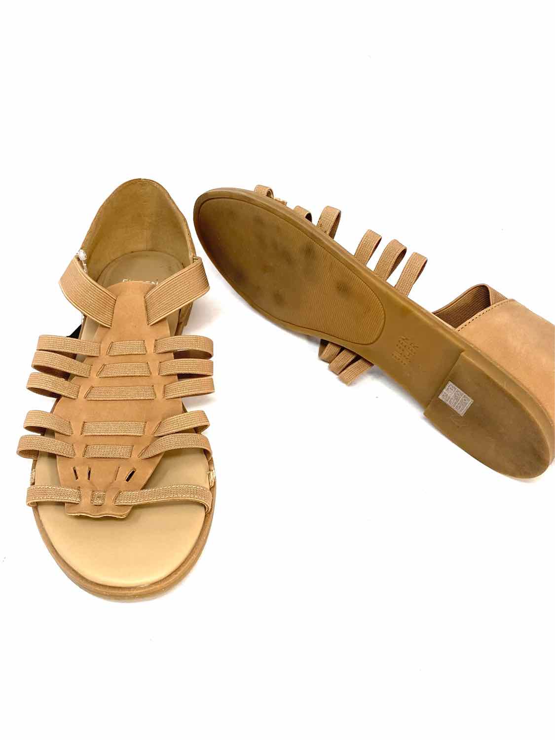 Slide image