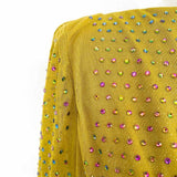 House of CB Gina Crystallised Maxi Chartreuse Sz XS Long Sleeve Open Back Dress