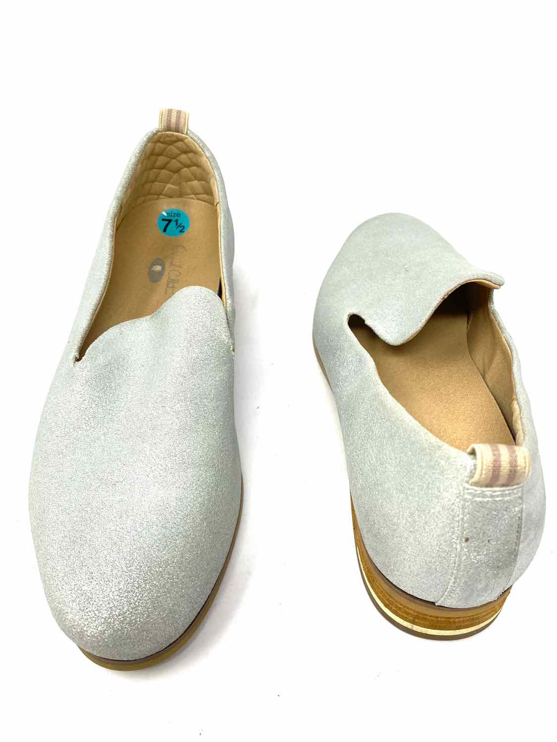 Slide image