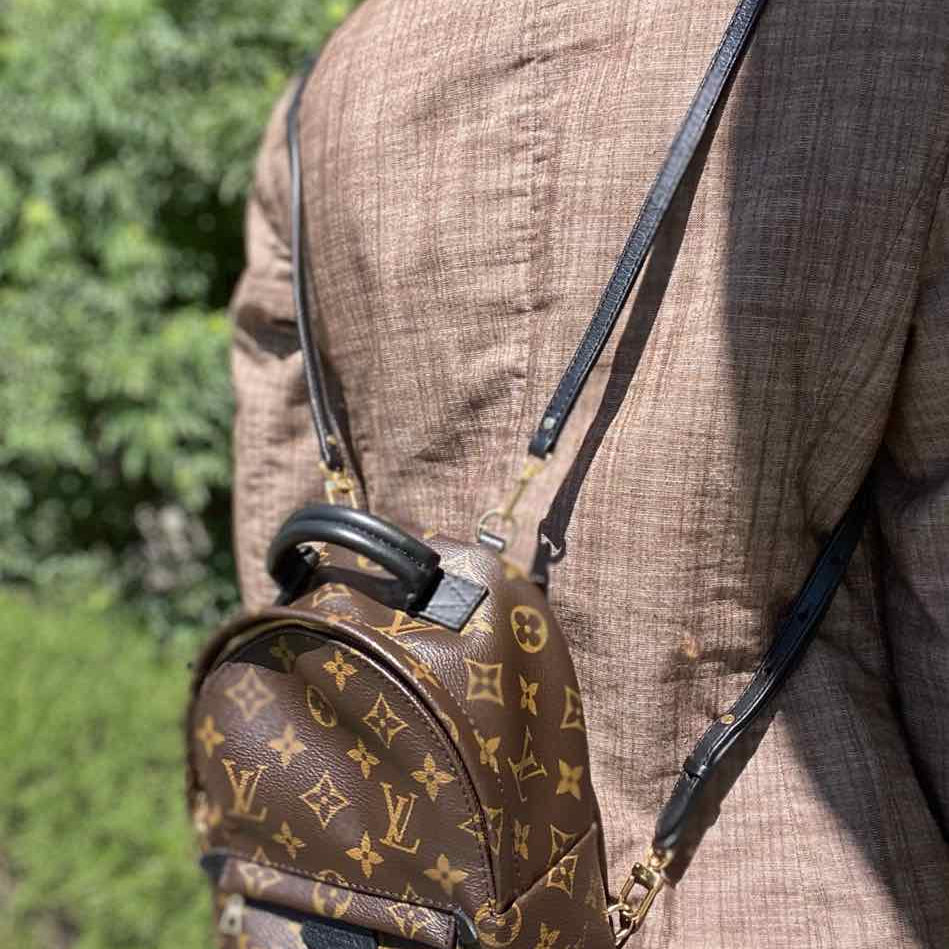LOUIS VUITTON 2018 Mini Palm Springs Brown Monogram BackPack