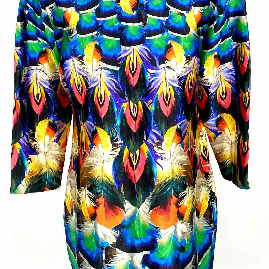 Mary Katrantzou Women's Multi-Color Size 6 sheath feathers Dress
