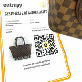 LOUIS VUITTON 2006 Saleya PM Coated Canvas Brown Zip Top Damier Ebene Tote