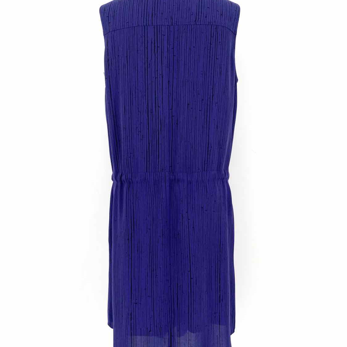 Eileen Fisher Women's Blue Size S Drawstring Silk Dress