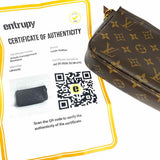LOUIS VUITTON 2020 Pochette Accessoires Brown Zip Monogram Shoulder Bag