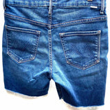 Mother Looker Women's Blue Size 28/6 High Waisted Raw Hem Shorts