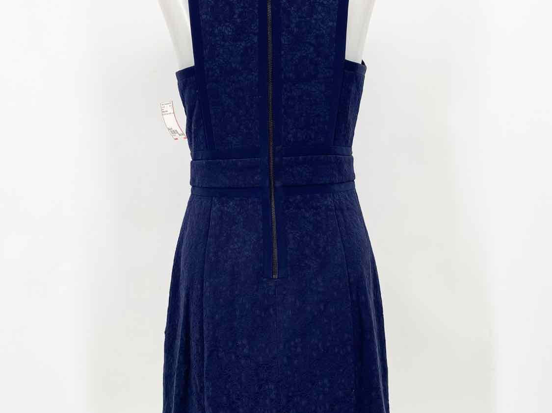Rebecca Taylor Women's Navy sheath Lace Size 4 Dress - Article Consignment