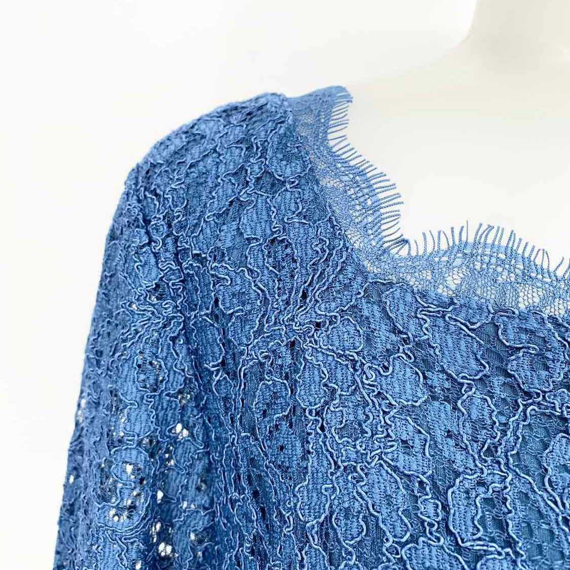 Adrianna Papell Women's Dark Blue Lace Size 16 Dress - Article Consignment